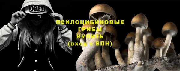 гидропоника Инта