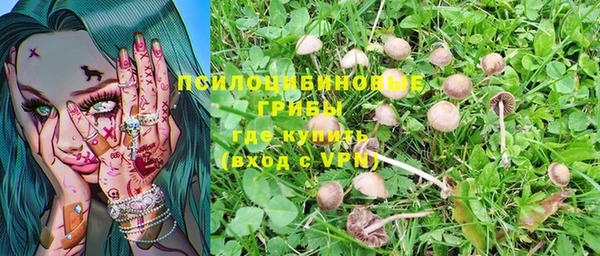 кристаллы Алзамай