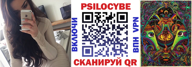 omg ссылка  Неман  Галлюциногенные грибы Cubensis 